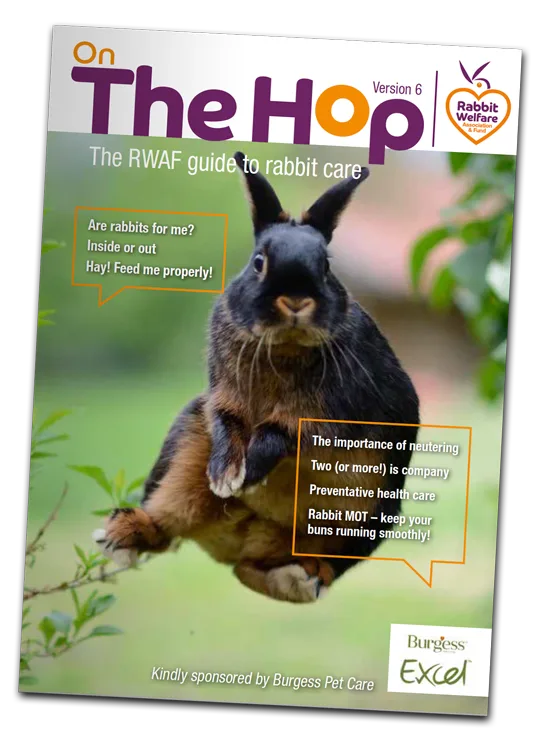 On-The-Hop Magazine