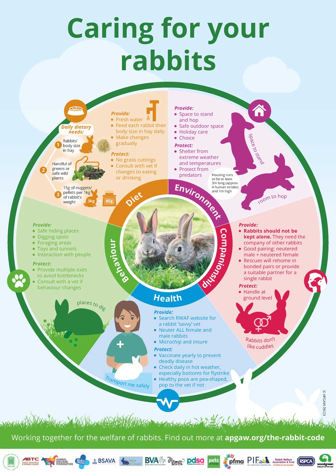 Rabbit Welfare Needs