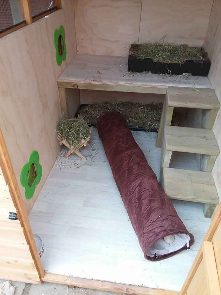 Keep your rabbit busy