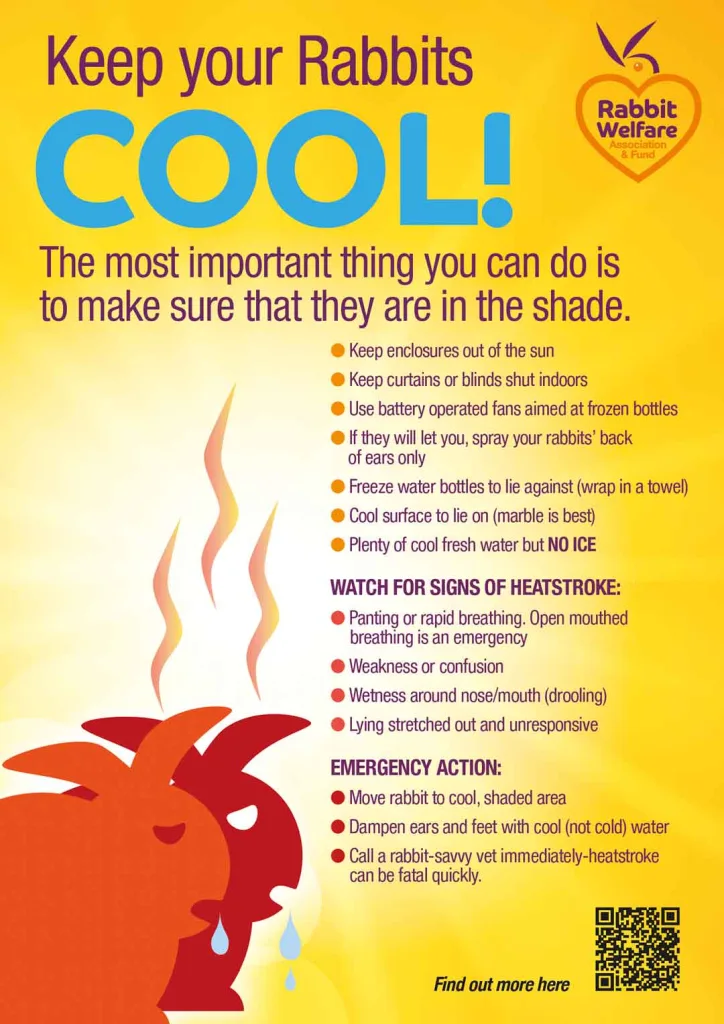 Keep Your Rabbits Cool