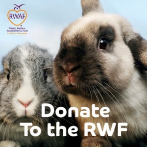 Make a donation