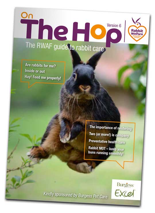 On The Hop magazine