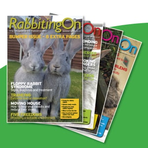Rabbiting On One copy of a back issue Spring 2020 onwards