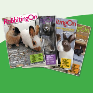 Rabbiting On Grab Special 2015,16 & 17