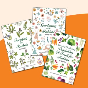 Twigs Way special offer for all 3 books