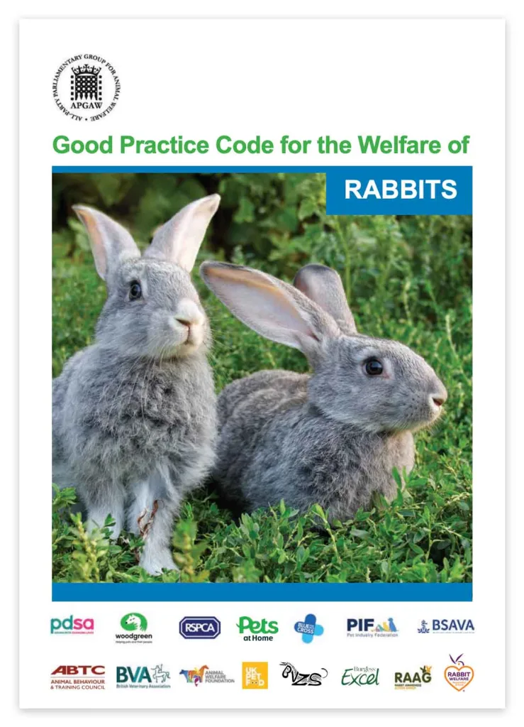 Rabbit Welfare: England