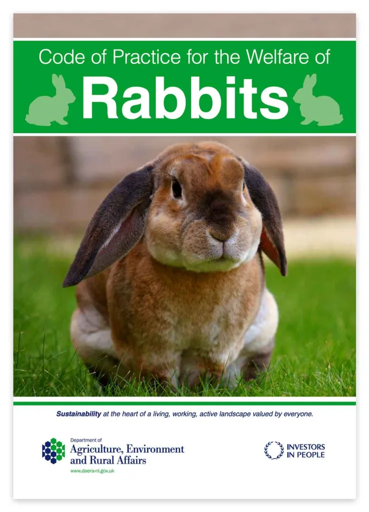 Rabbit Welfare: NI
