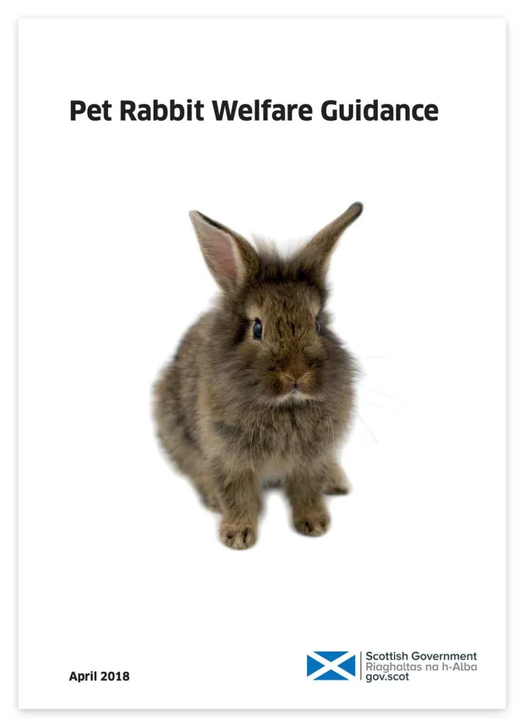 Rabbit Welfare: Scotland