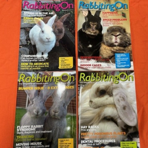 Whopper Offer - Rabbiting On 2020 - 2024 inclusive