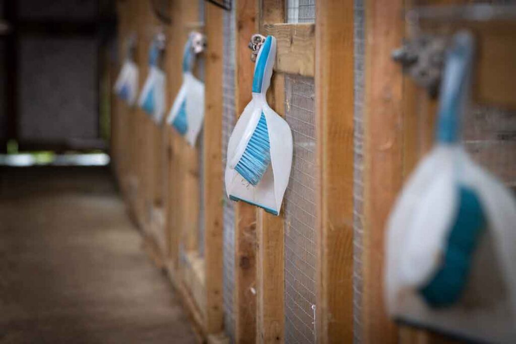 Rehoming Rabbits