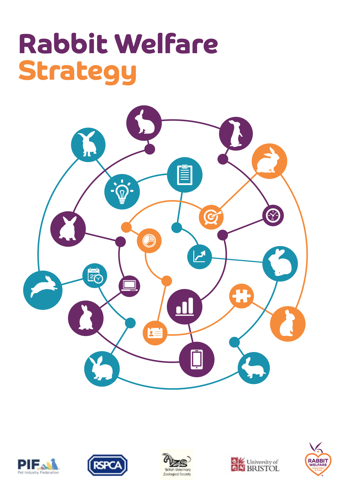 Featured image for Rabbit Welfare Strategy