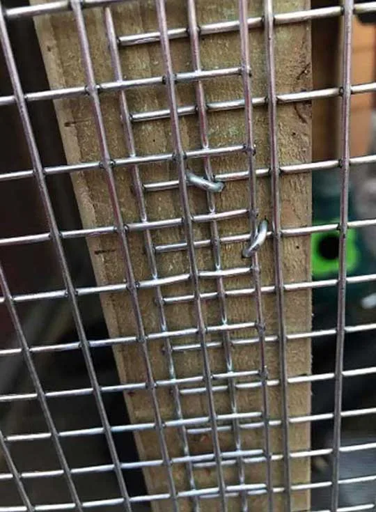 Stainless steel mesh