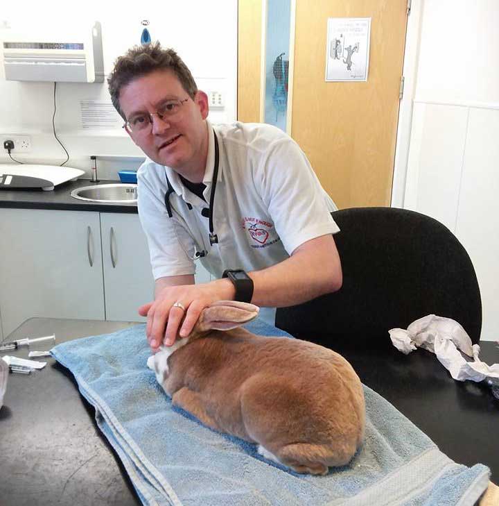 Recommended Rabbit-Friendly Vets