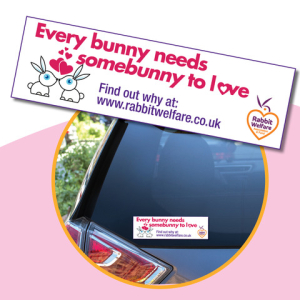 Every Bunny Needs Somebunny Car Sticker
